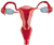 Ginecología
