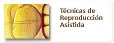 Técnicas de Reproducción Asistida