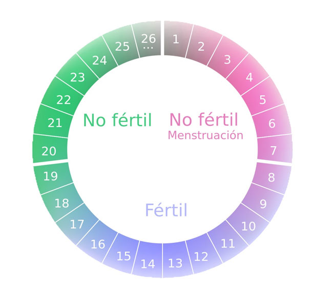 Ilustración 1. Esquema de un ciclo menstrual, en el que se puede observar que la ovulación se desencadena tras la elevación en la producción de estrógenos por parte del folículo ovárico y un pico sustancial de la LH de origen hipofisario. Son los días más próximos a este evento los más fértiles del ciclo (color morado)